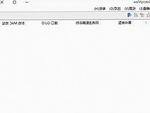 从吃瓜趣闻到成人影视，网络内容多元化引关注