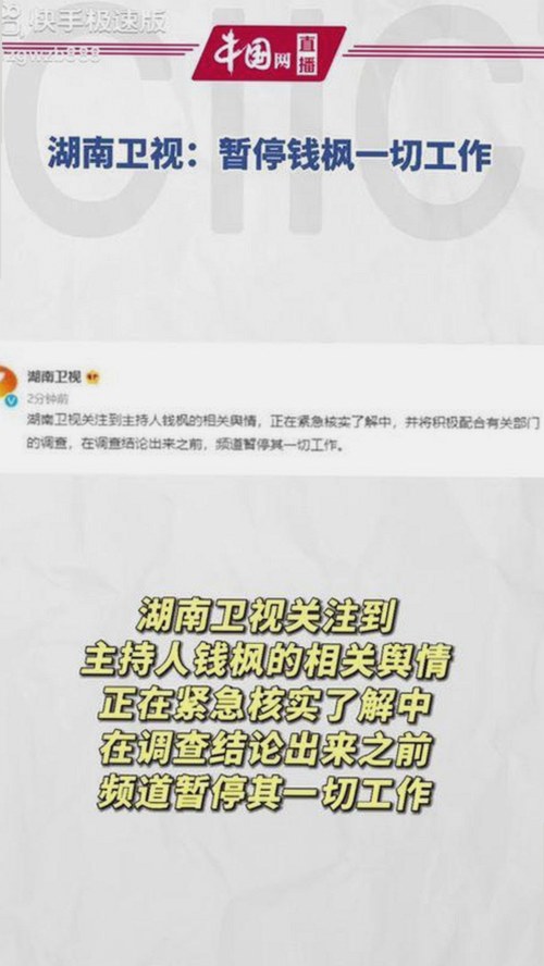 国产538：科技创新与网络文化的双重解读