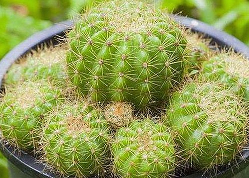 国产视频平台变革下的创新力量：从538到人人视频的潮流演进