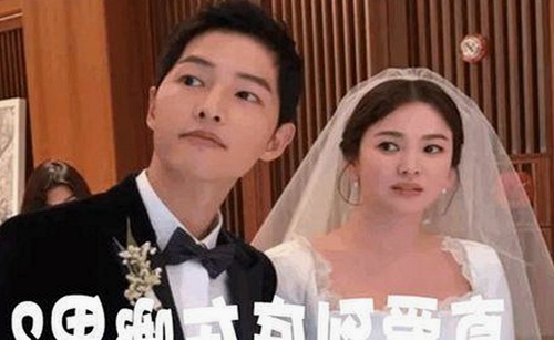 明星翻车频发引热议，91樱花最新地址持续爆料全网大瓜