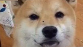 明星关系变化引发关注，最新动态曝光