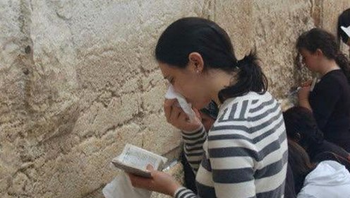 明星网红最新动态：持续引发关注的背后事实