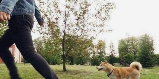 张艺谋最新广告中“态度大变”引热议，背后隐藏的深意